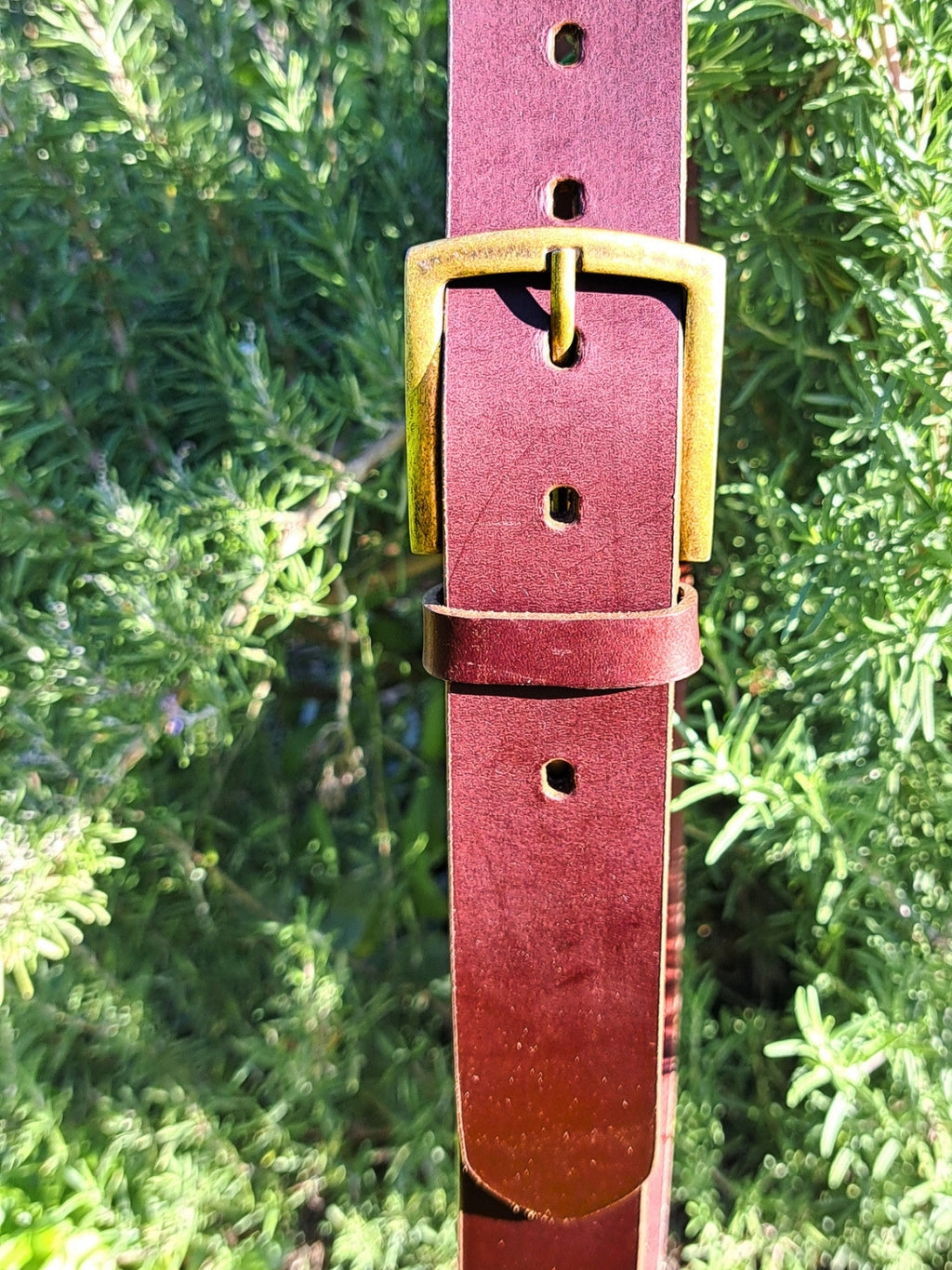 Auburn Full-Grain Leather Belt (40mm)